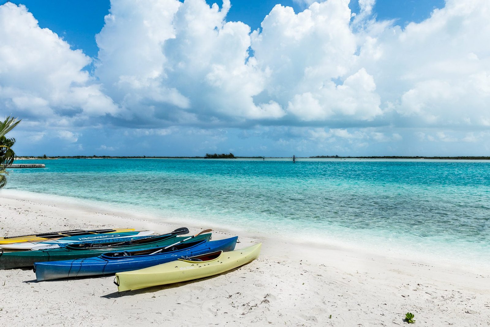 Paddleboards and kayaks on the white sand at Leeward